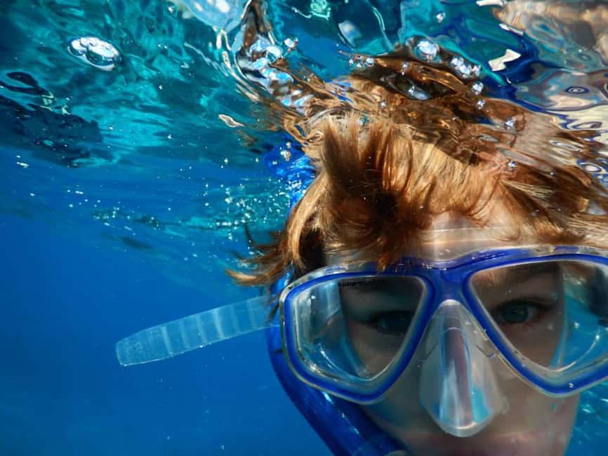 Miami Snorkeling for Beginners from Bayside Market Place - Key highlights to know before you go