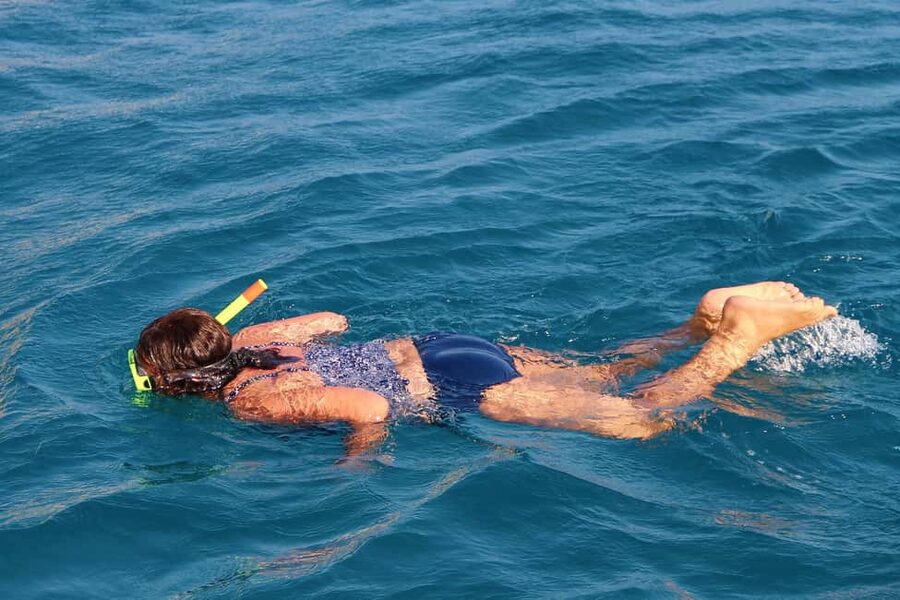 Miami Snorkeling for Beginners from Bayside Market Place - Value check: is $35 worth it for Miami beginner snorkeling?
