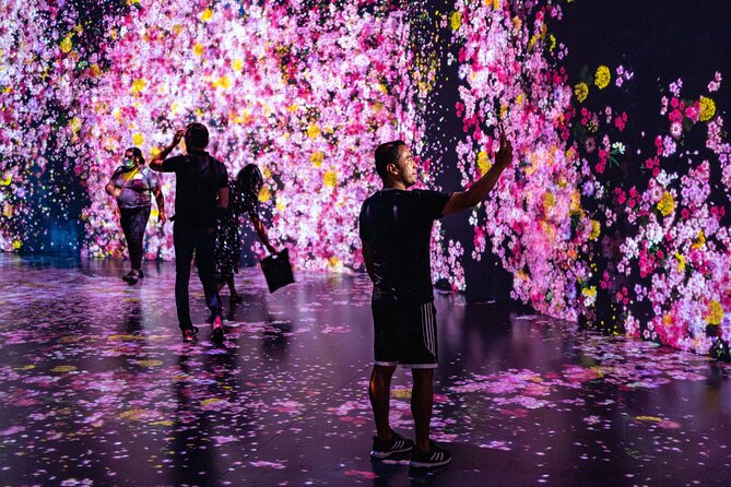 Miami: Superblue Miami Immersive Art Experience Ticket - Key things to know before you go