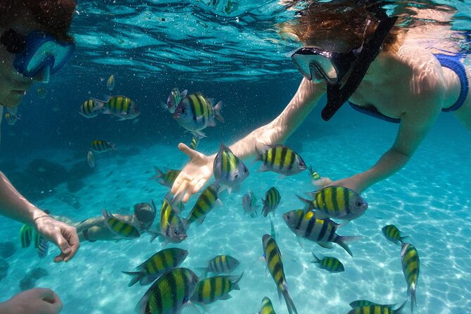 Miami to Key West Day Trip with Activity Options - Miami to Key West Coach Value: How $39 Really Works