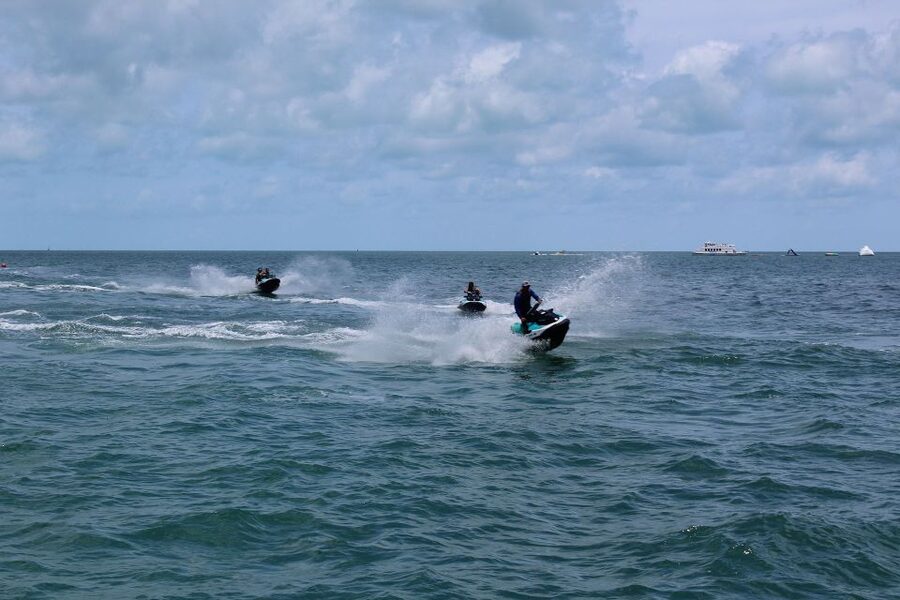 Miami to Key West Shuttle: Dolphin, Snorkeling & More - On the water: dolphins and snorkeling reality check