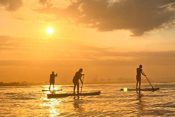 MORNING TOUR PaddleBoard or kayak - Morning vs afternoon in Miami Beach: why the timing matters