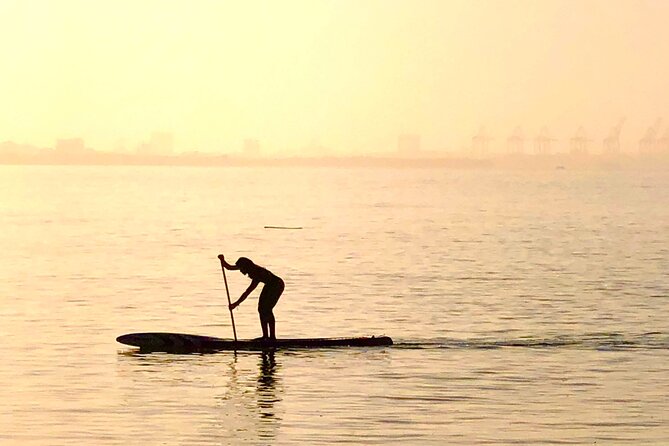 MORNING TOUR PaddleBoard or kayak - Out on the water: views, wildlife chances, and the real vibe