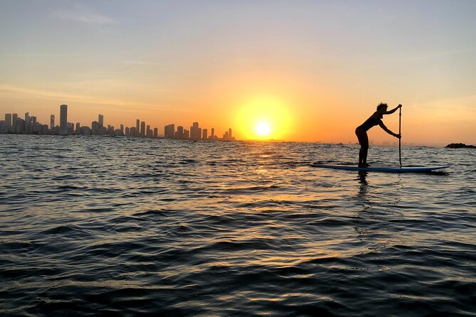 MORNING TOUR PaddleBoard or kayak - Price and value: is $50 a good deal for an hour?
