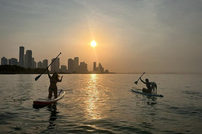 MORNING TOUR PaddleBoard or kayak - What to bring (and what to wear) so the hour feels easy