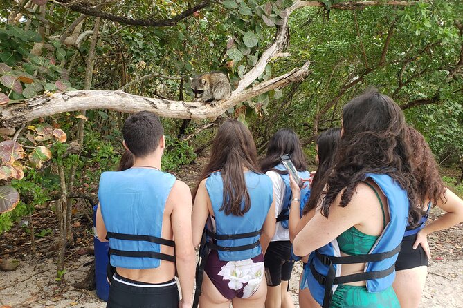 Nature & Island Exploration on SUP/Kayak - The paddling skills briefing: quick, practical, and not intense