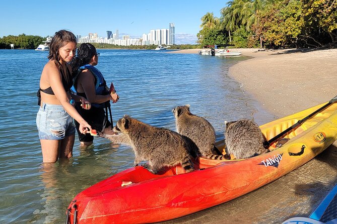 Nature & Island Exploration on SUP/Kayak - The mid-tour break: swimming, fruit, and unlimited drinks