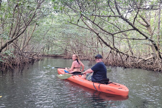 Nature & Island Exploration on SUP/Kayak - Raccoon Island: the animal encounter that drives the schedule