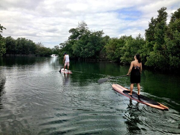 Nature Stand Up Paddle Boarding Experience in Miami - Miami Mangroves From Oleta River State Park: A Better Side of Town
