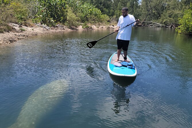 Nature Stand Up Paddle Boarding Experience in Miami - Ten Minutes to Get Stable: The SUP Lesson You Actually Need