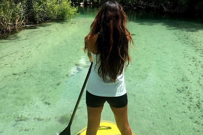 Nature Stand Up Paddle Boarding Experience in Miami - Raccoon Island Stop: The Snack Break That Turns Into the Highlight