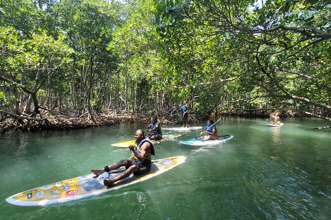 Nature Stand Up Paddle Boarding Experience in Miami - Practical Tips for Your 10:30 AM Start in North Miami Beach