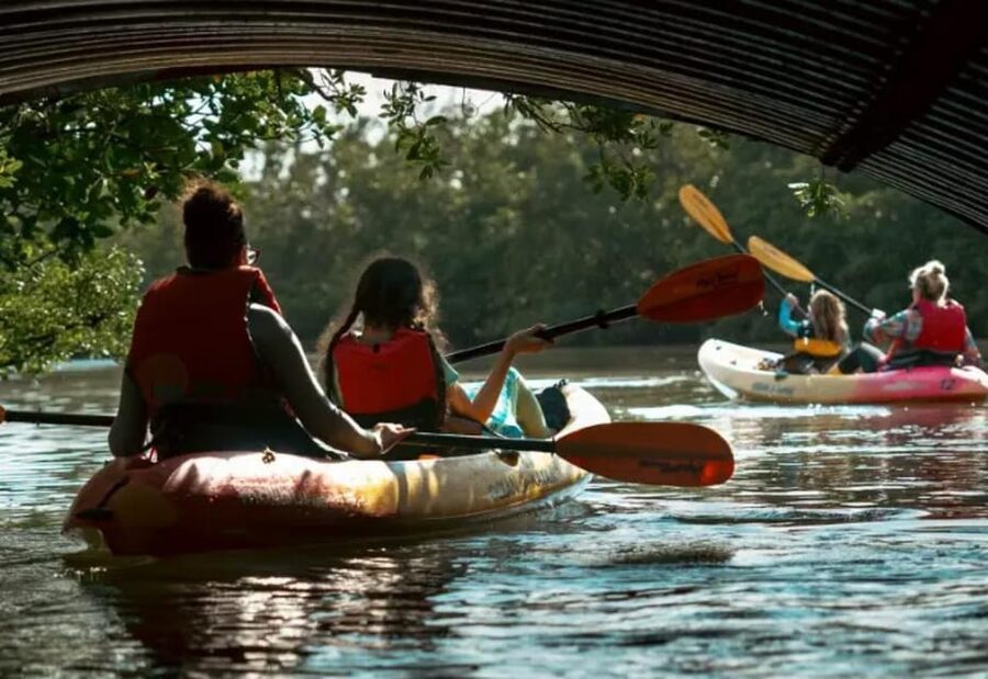 Oleta River State Park: Eco Kayak or Paddleboard Tour - The 2.5-hour flow: what you’ll actually do out there