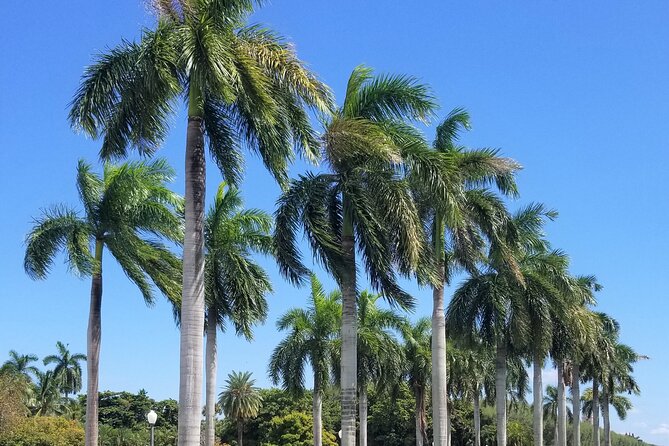 Palm Beach Tour from Miami - Flagler's Museum + Hotel Breakers - Henry Morrison Flagler Museum: The Architecture-First Stop