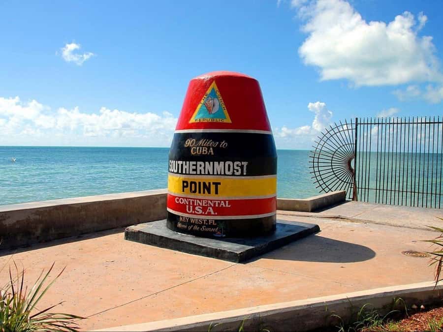 Passin Miami: 30+ Attractions, eSIM & 1-Way Airport Transfer - Miami Seaquarium and Treetop Trekking: family-friendly options with weather flexibility