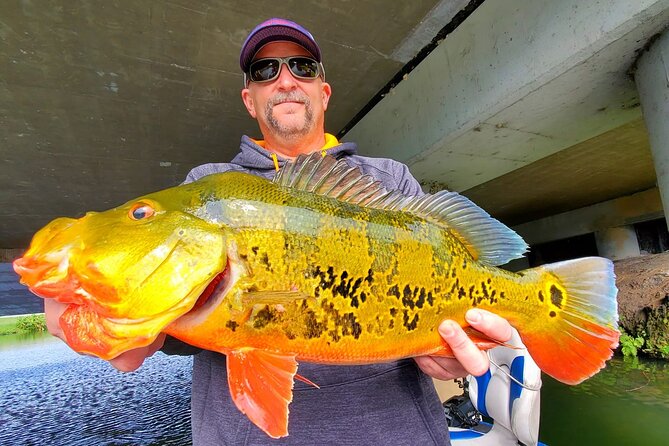 Peacock Bass Fishing Trip near Miami South Beach - The Boat Day Setup: Gear, Safety, and a Real Lesson