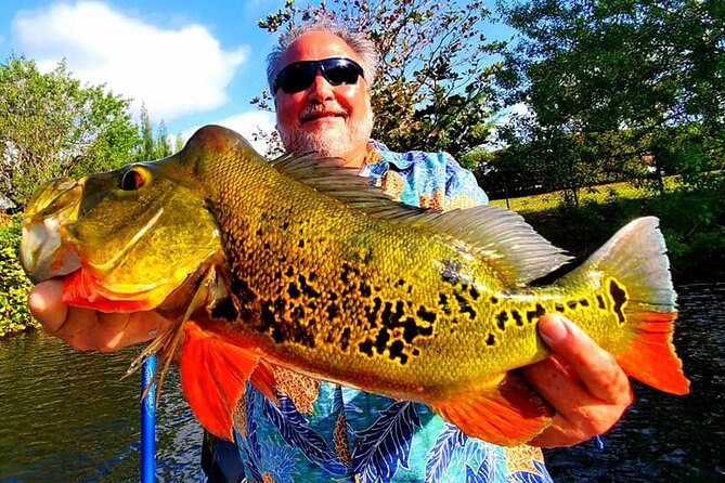 Peacock Bass Fishing Trip near Miami South Beach - What to Expect on the Water: Miami Views and Wildlife Moments