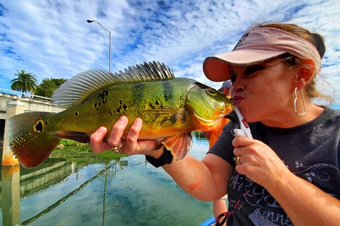 Peacock Bass Fishing Trip near Miami South Beach - Stop 3: Miami Beach Waters and the Final Stretch