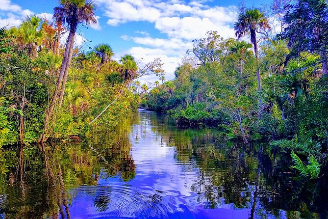 Peacock Bass Fishing Trip near Miami South Beach - Price and What You’re Really Paying For