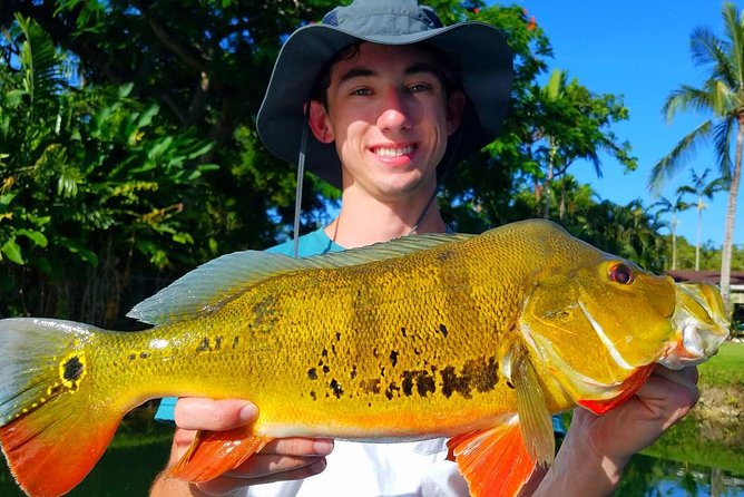 Peacock Bass Fishing Trips Near Key Largo - Aerojet Canal System Near Homestead: The Setting You’re Actually Paying For