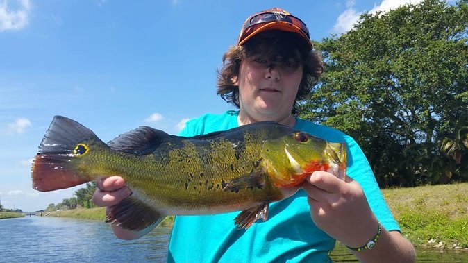 Peacock Bass Fishing Trips Near Key Largo - How the 4–8 Hour Experience Runs in Real Life