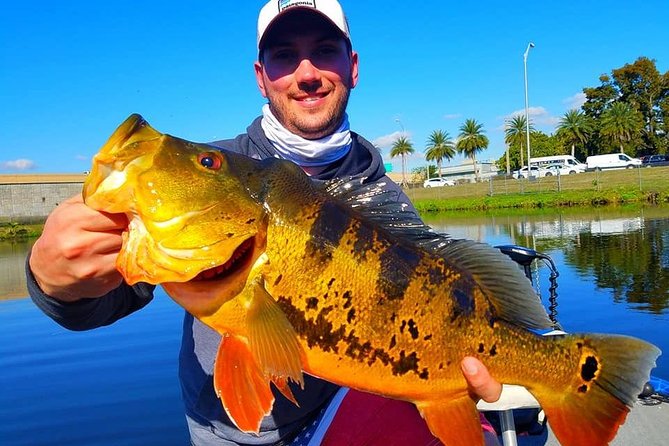 Peacock Bass Fishing Trips Near Miami Florida - Key highlights to know before you book