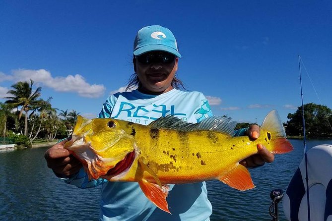 Peacock Bass Fishing Trips Near Miami Florida - The captain and the learning curve: instruction that works for kids and adults