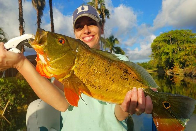 Peacock Bass Fishing Trips Near Miami Florida - What you’re actually catching: peacock bass plus real variety