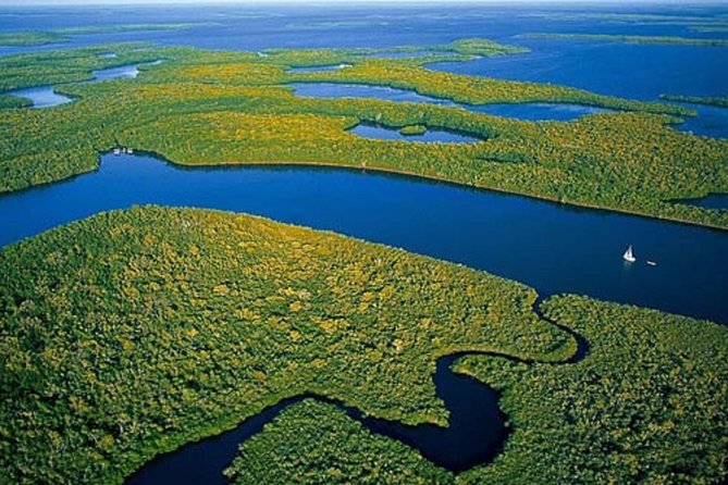 Private 4 Hour Everglades Tour with shared Airboat - Key things I’d plan around