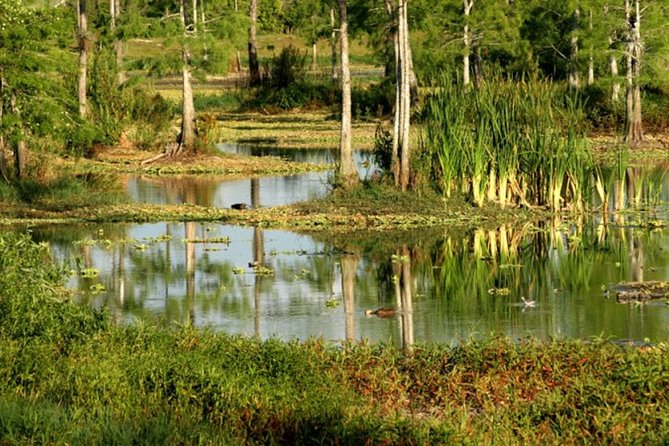 Private 4 Hour Everglades Tour with shared Airboat - Shared airboat on your schedule: what you gain and what you surrender