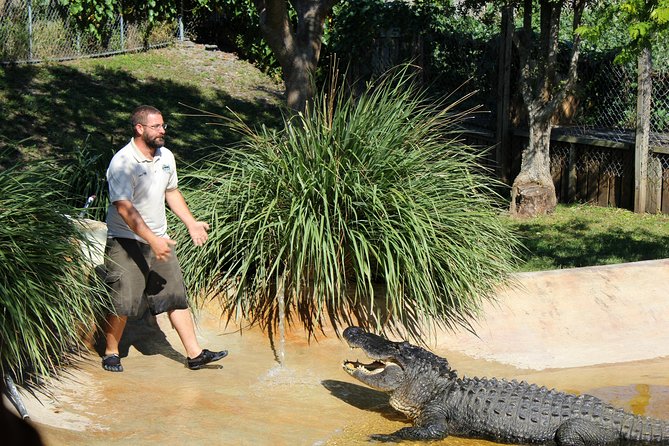 Private 4-hour Tour of Everglades from Miami Dade - Why a Private 4-Hour Everglades Trip Works From Miami