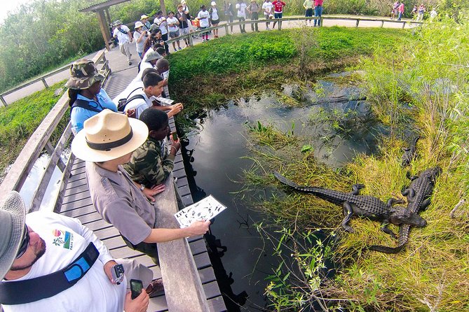 Private 4-hour Tour of Everglades from Miami Dade - Everglades National Park Visit: 3 Hours on the Ground