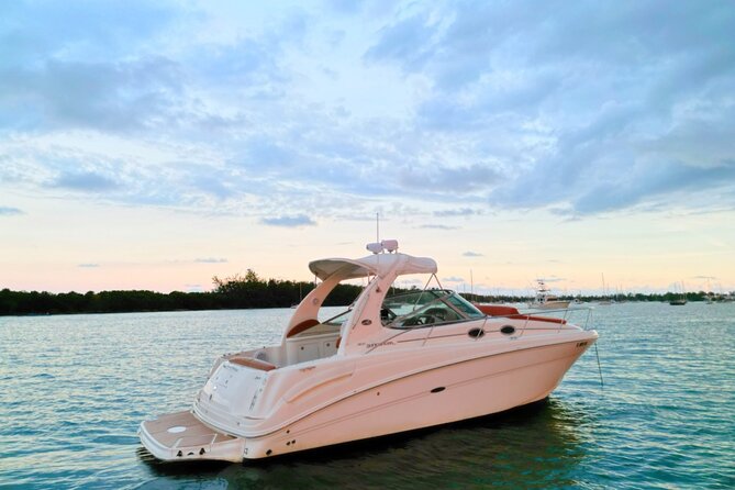Private Captained Boat Tour in Miami for up to 12 Passengers - The boat setup: cooler, Bluetooth, mat, and restroom
