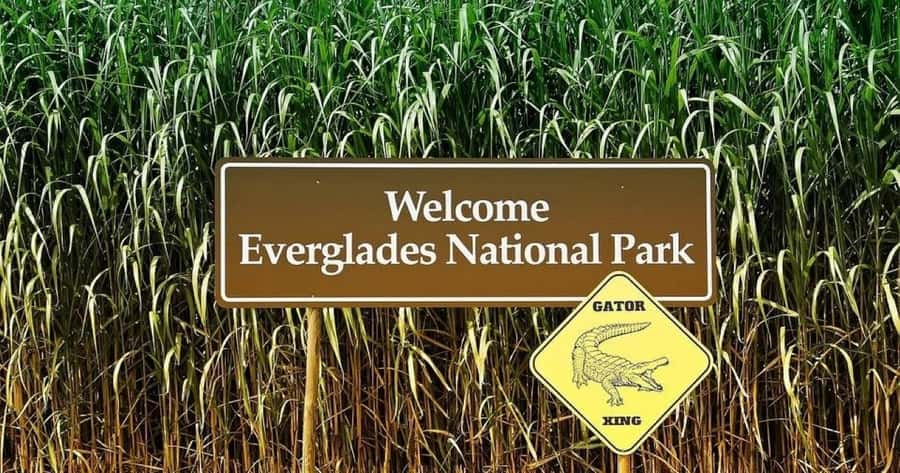 Private Everglades Tour:Explore the Beauty of the Everglades - Why this Everglades tour feels different than a regular airboat