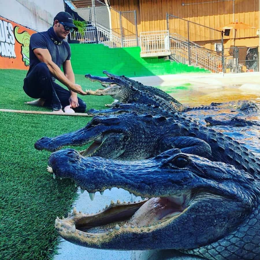 Private Everglades Tour:Explore the Beauty of the Everglades - Price and value: is $900 worth it for a group of two?
