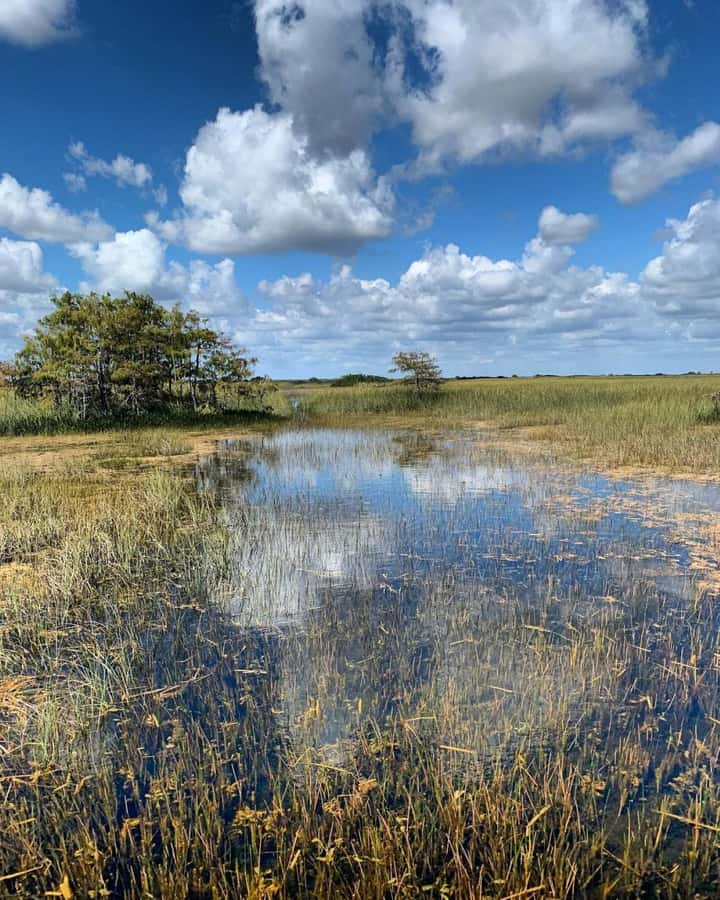 Private Everglades Tour:Explore the Beauty of the Everglades - Practical tips before you go (so the day runs smoothly)