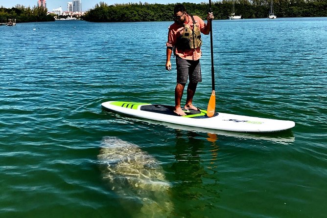 Private Guided Kayak or SUP Eco Adventure - Snorkeling spots: how the optional part fits into the trip