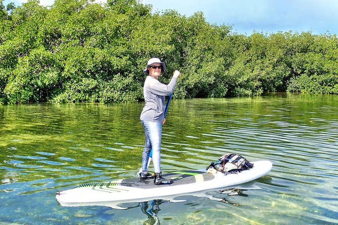 Private Guided Kayak or SUP Eco Adventure - Where you meet and what timing to expect