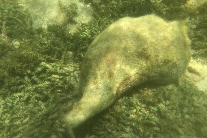 Private Guided Kayak or SUP Eco Adventure - Who this is best for (and who should look elsewhere)