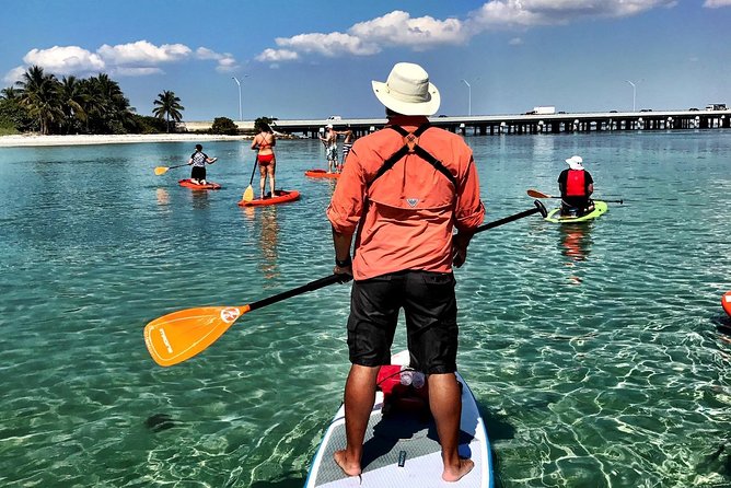 Private Guided Kayak or SUP Eco Adventure - Mangrove tunnels, birds, and those big surprises