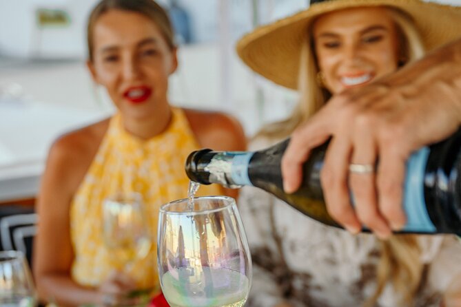 Private Luxury Miami River E-Boat Cruise & Wine and Charcuterie - Picking morning versus afternoon: how to choose your timeslot