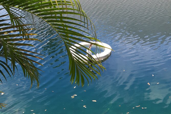 Private Magic City Tour with Transfers Experience - Pickup from anywhere in Miami: less hassle, more Miami