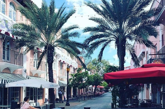 Private Miami City Sightseeing Tour - Coral Gables drive: French, Chinese, UMiami, Biltmore, and Venetian Pool views