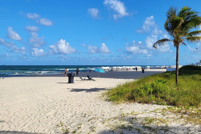 Private Transfer from Miami Airport to Hotel or Port Miami. - Waiting time and luggage help: why this matters more than you think