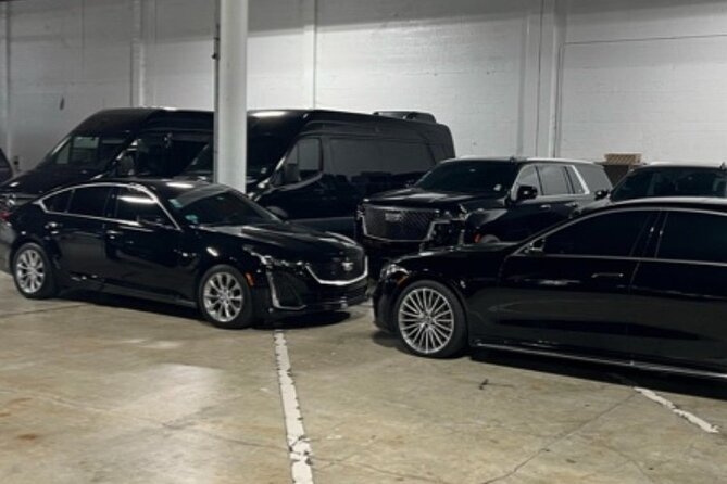 Private Transfer From Miami Airport with Meet & Greet Service - Miami airport pickup: where you meet the driver