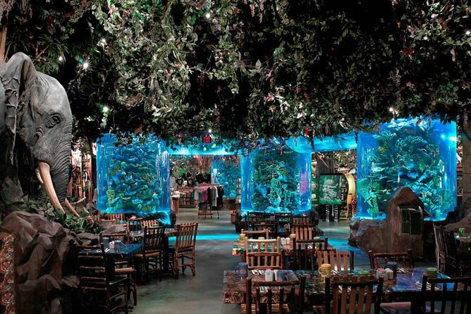 Private Transportation to Sawgrass Mills - The return ride: staying comfortable until the end