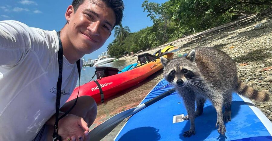 Raccoon Island: Exploration on SUP/Kayak - Price and Value: Is $99 Fair for 150 Minutes?