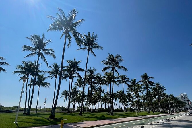 See it All in One Tour!! 6hr VIP Full Experience of Miami!! - Coconut Grove and Vizcaya: old-world drama with gardens