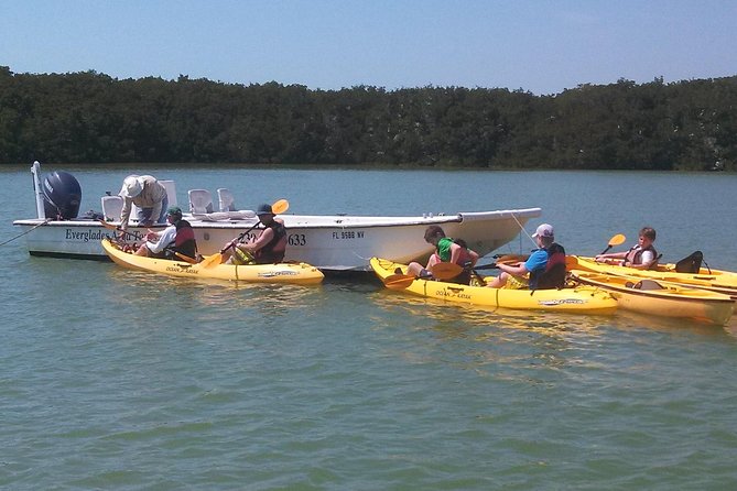Small Group Boat, Kayak and Walking Guided Eco Tour Everglades - Boat, kayak, and beach: the 3.5-hour flow you’ll feel right away