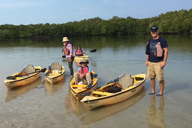 Small Group Boat, Kayak and Walking Guided Eco Tour Everglades - The guided beach walk: wrack lines, dunes, shells, and invertebrates